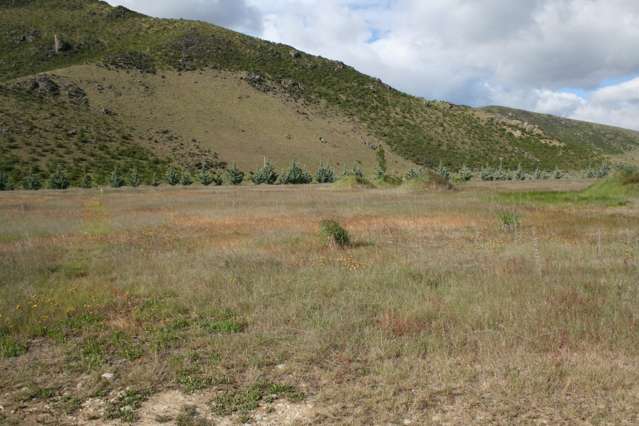 4 Hardacre Place Omarama_3