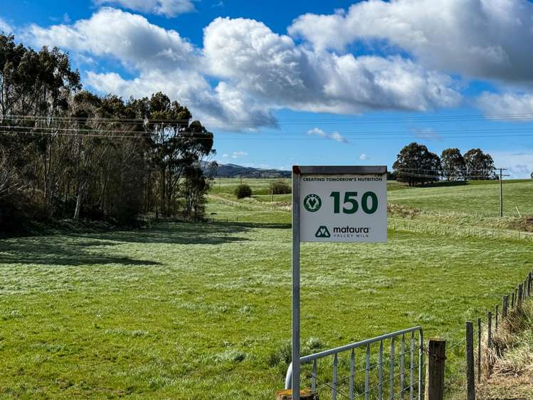 316 McDonald Road Pukerau_19