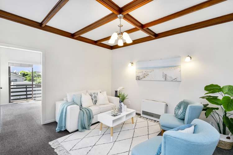 29 Palm Avenue Lyall Bay_6