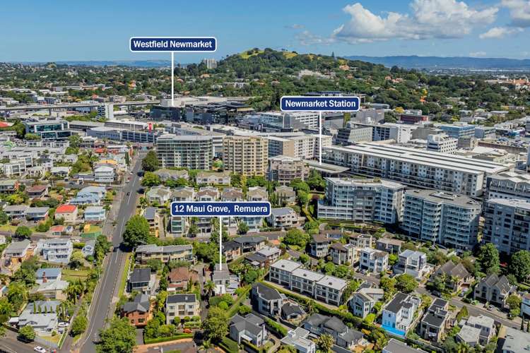 12 Maui Grove Remuera_20