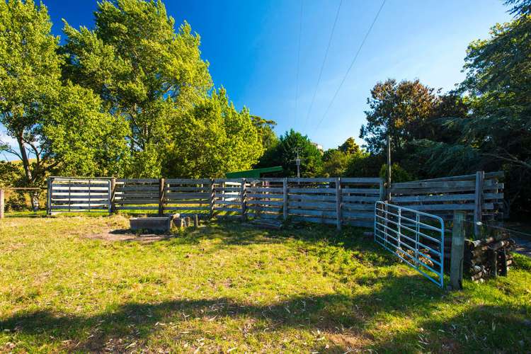 559 Wainui Road Kaiti_7