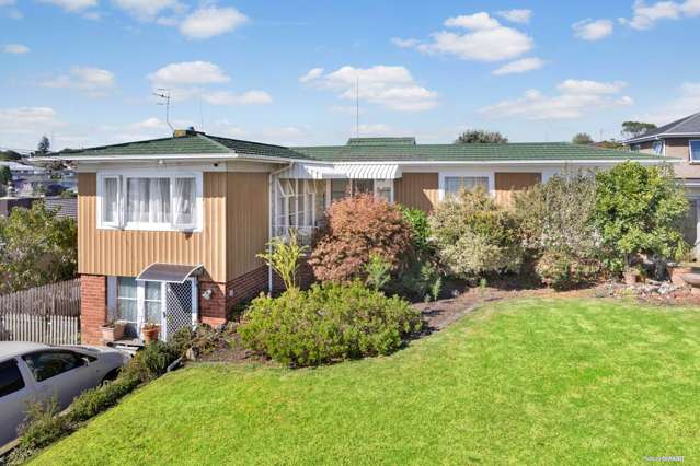 9 Fickling Avenue Mount Roskill_1