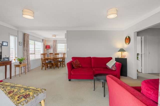 14 Pukatea Place Matamata_4