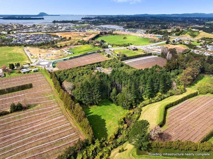 61 Prole Road Omokoroa_7