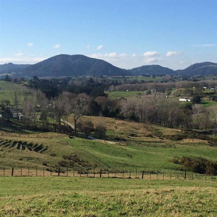 62 Kiwi Lane Kaiwaka_0