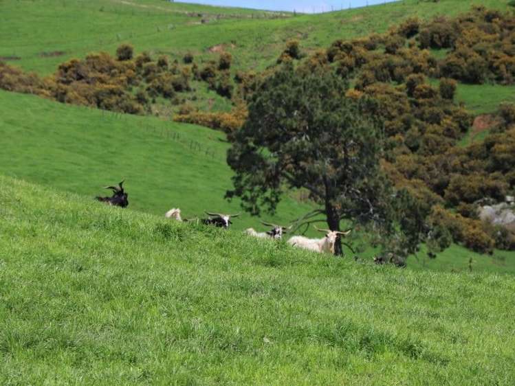 196 Hildreth Road Arapuni_27