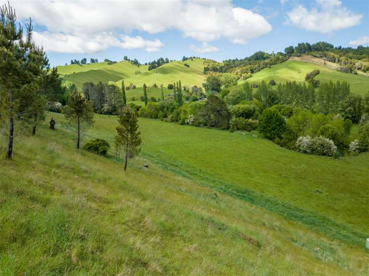 237 Win Valley Road Dovedale_21