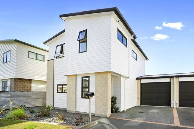 Modern Comfort In A Prime Petone Location