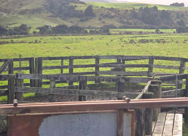 Mangaraupiu Road Eketahuna_17