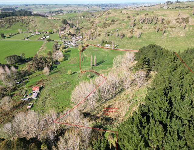 312A Waireka Road Papaiti_2