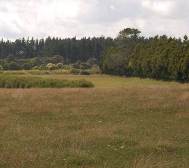 749 Waitakere Road Kumeu_2