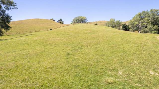247 South Road, Mauriceville Masterton_4