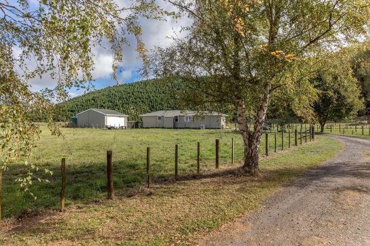 201 State Highway 5 Wairakei_26