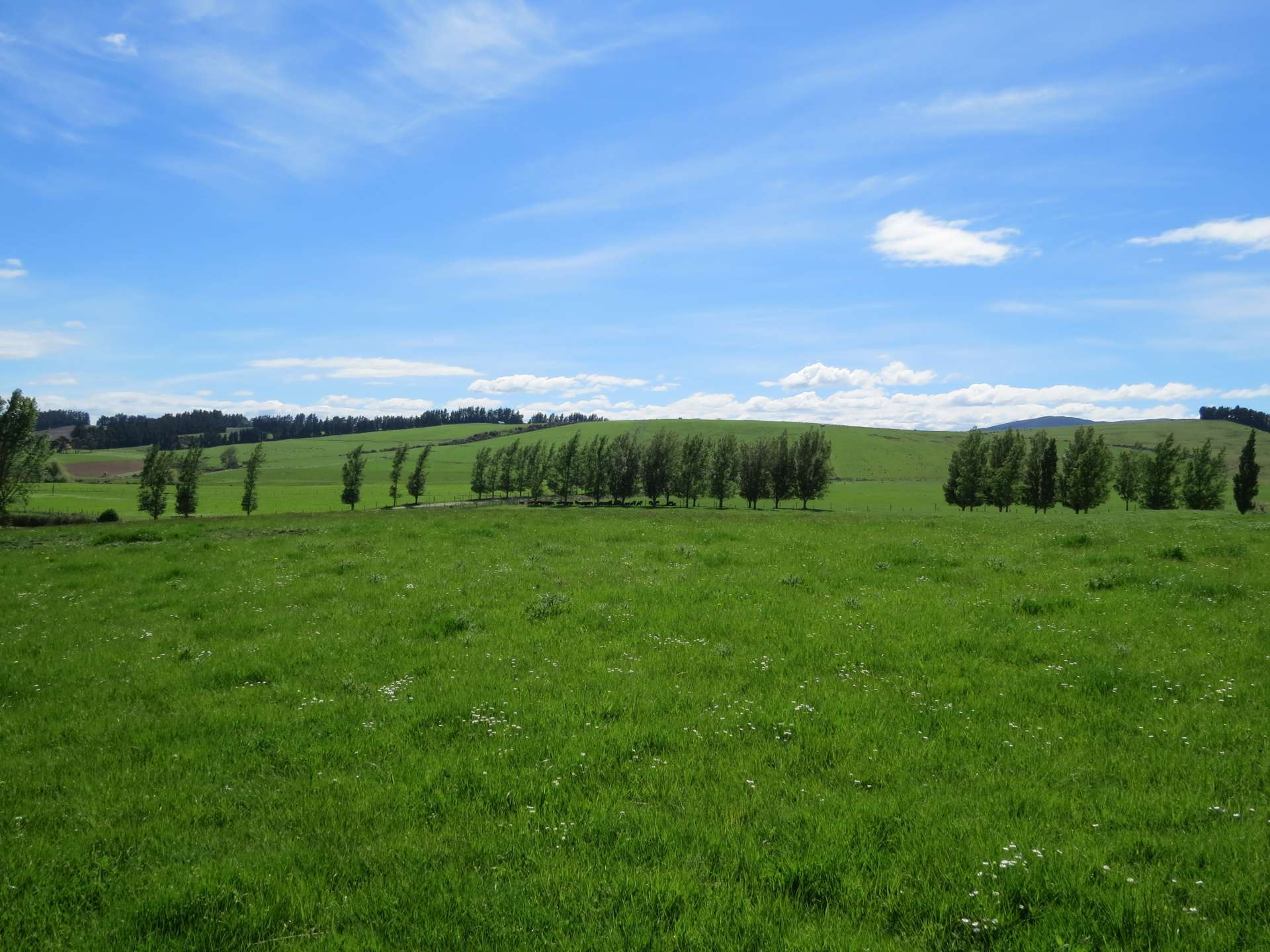 102 Talbot Road Te Anau_0