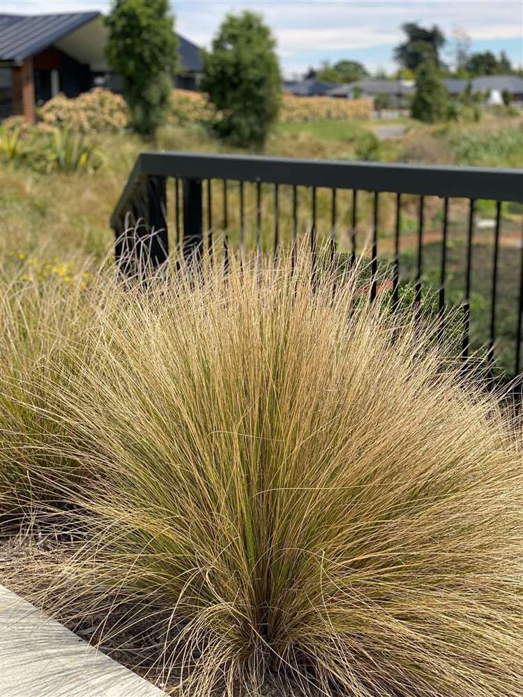 19 Crossley Avenue Woodend_16