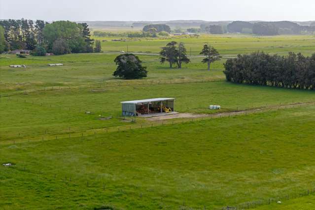 944 State Highway 1 Himatangi_4