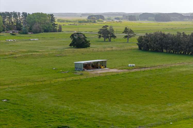 944 State Highway 1 Himatangi_5