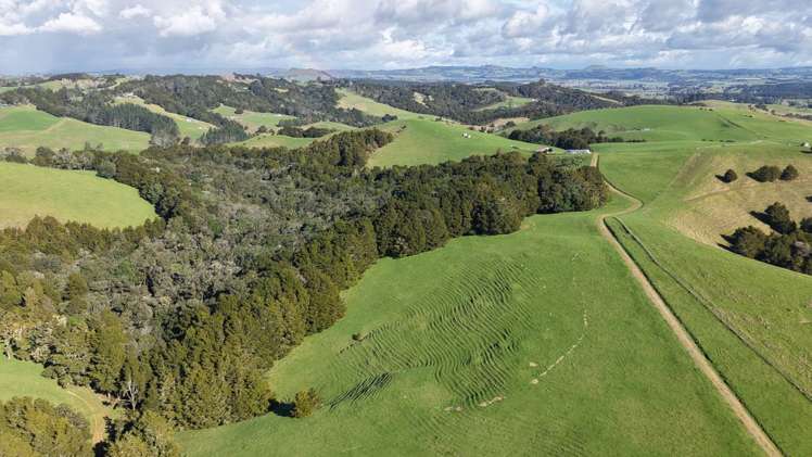 256 McIntyre Road Oromahoe_14