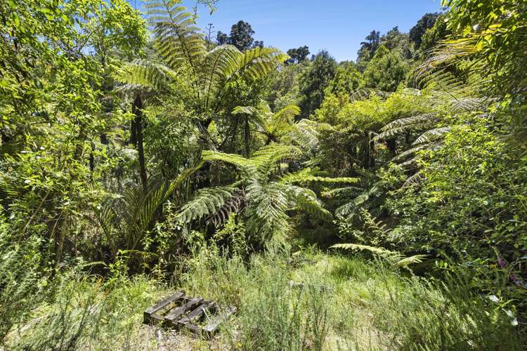 857 Dry Road Tasman_12