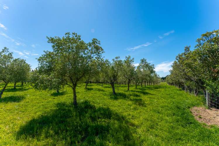 801 Rolling Ridges Road Levels Valley_16