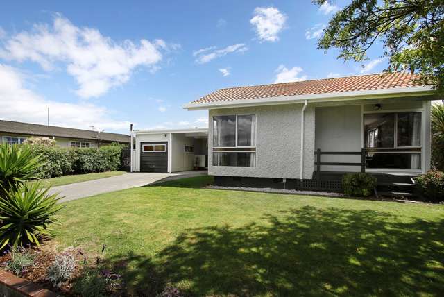 41 Westminster Avenue Tamatea_1