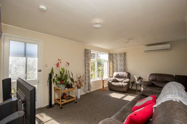 266 Piako Road Turua_1