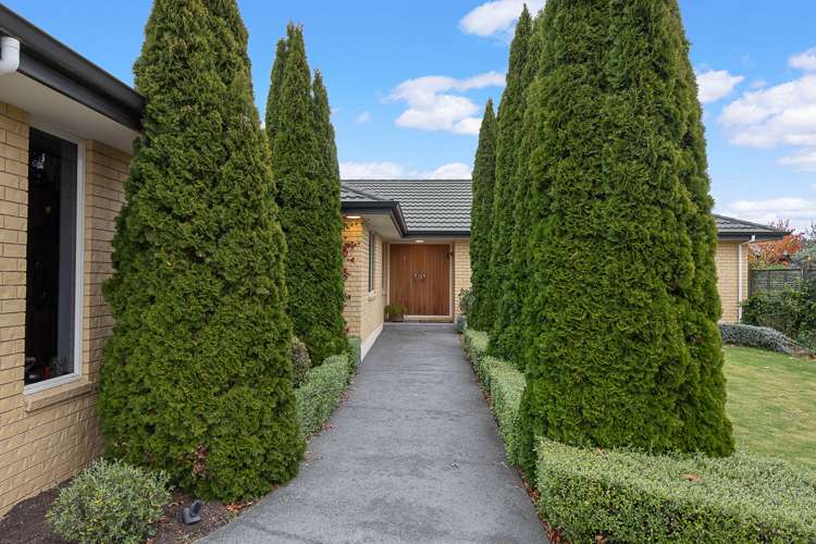 64 Hillcrest Avenue Witherlea_22