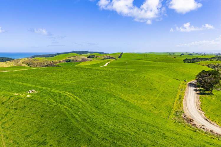 780 Te Maire Road Te Kopuru_13