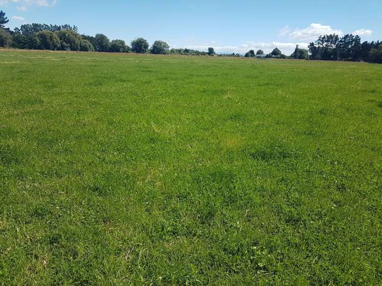 692 Halswell Road Kennedys Bush_1