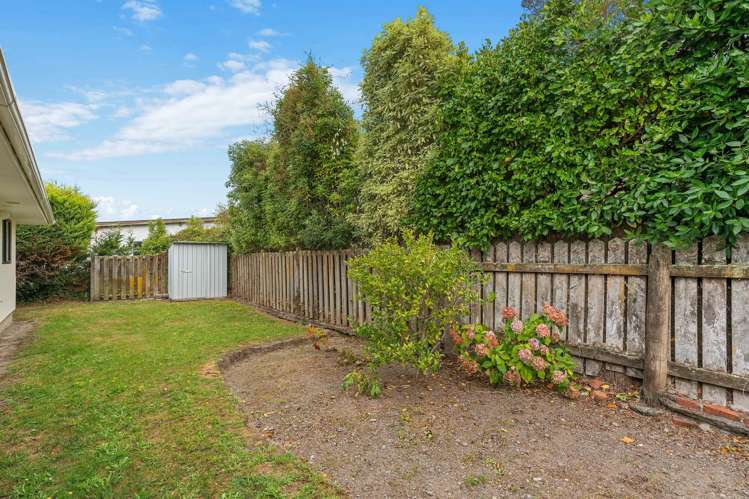 50B McMaster Street Greytown_14
