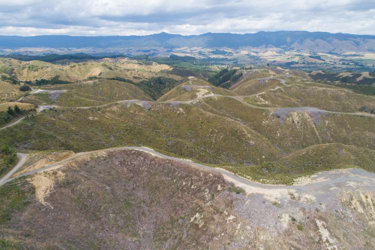 Ridge Road Pohangina_8