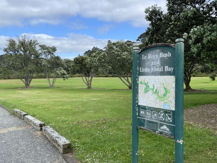 23 Wilding Avenue Northcote Point_15