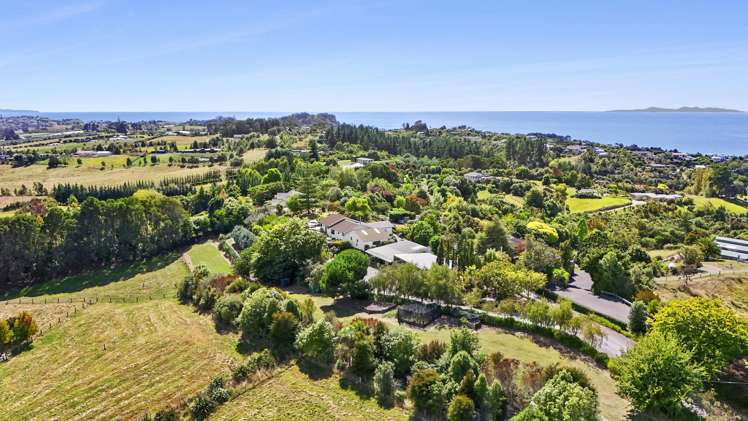208 Pomona Road Mapua_15