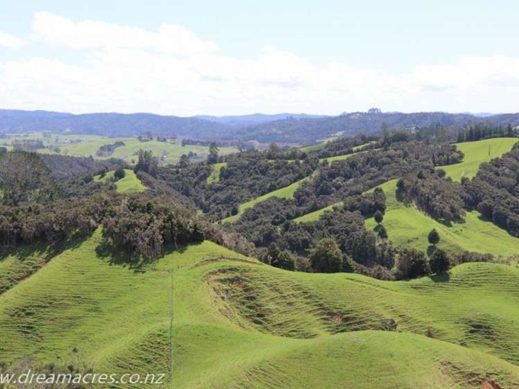 242 Owae Road Russell Surrounds_22