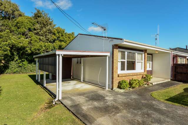 98b Firth Street Hamilton East_1