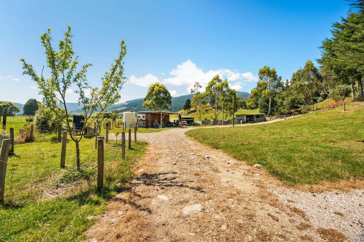 1118 Queen Charlotte Drive_1