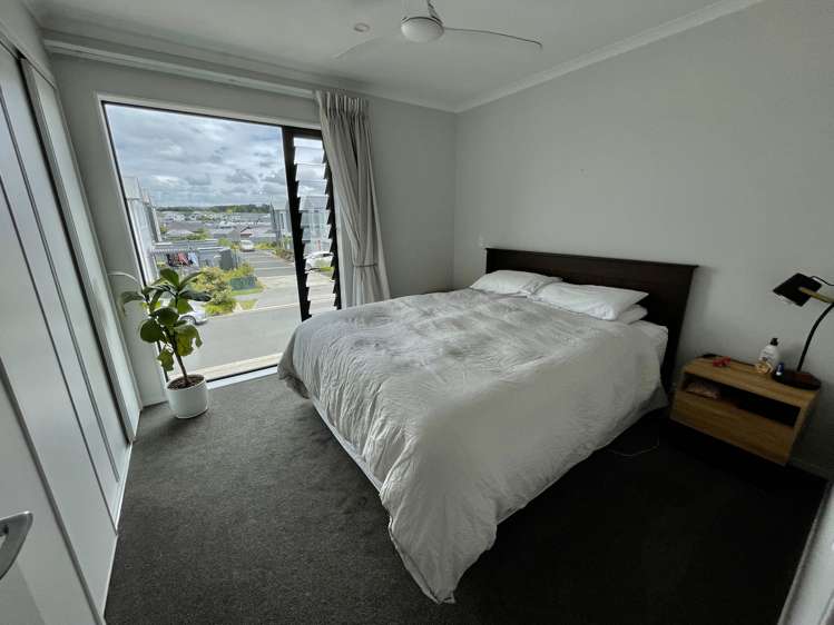 87 Kopuru Whenuapai_7