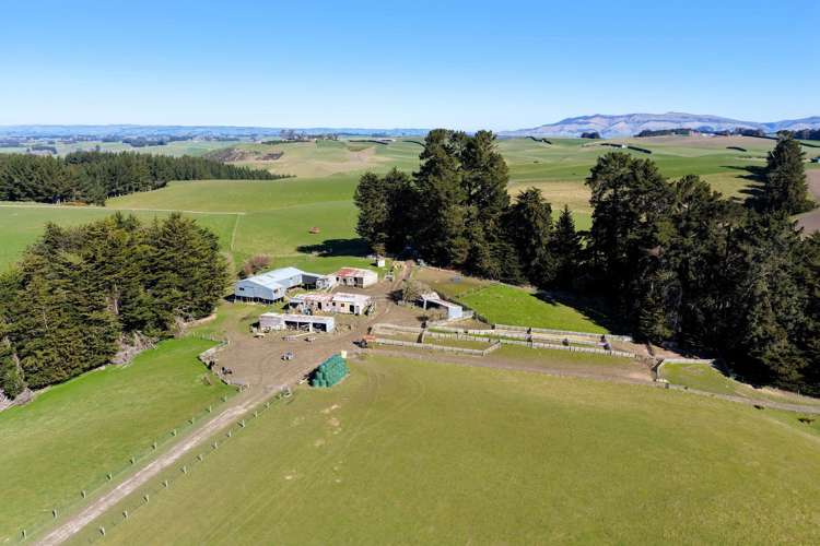 565 Bushy Park Road Waikaka_9