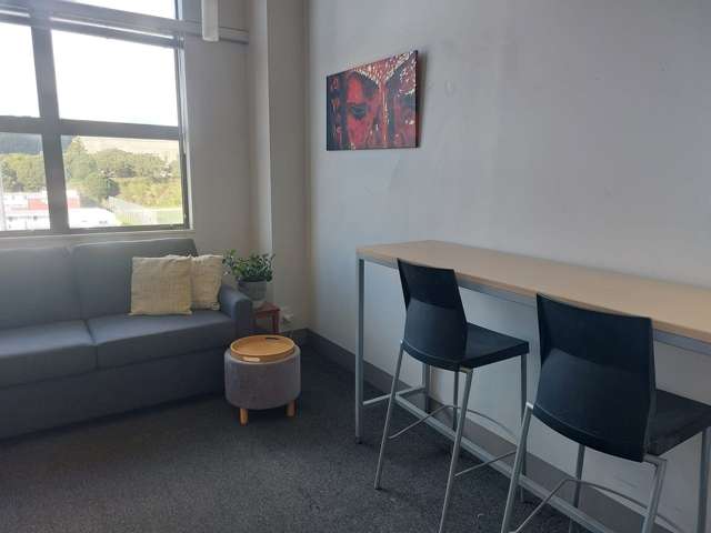 54/29 Webb Street Te Aro_1