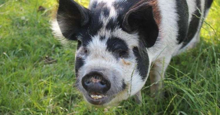 McLaren Falls Road Omanawa_9