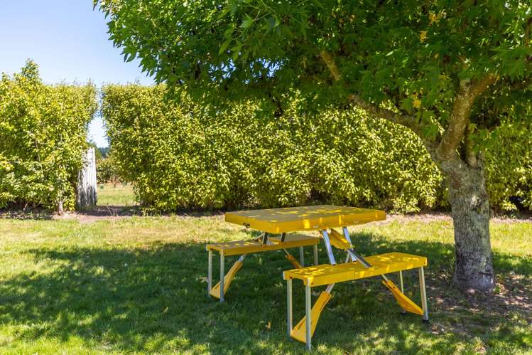 842 State Highway 2 Masterton_22