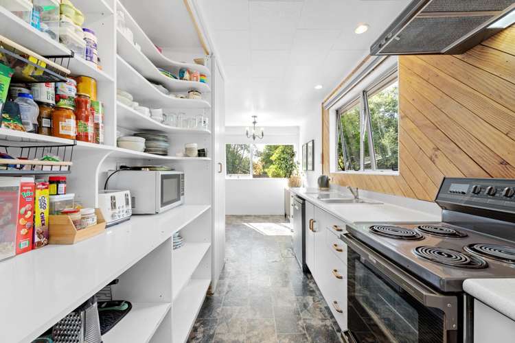 3 Anglesea Street Renwick_5