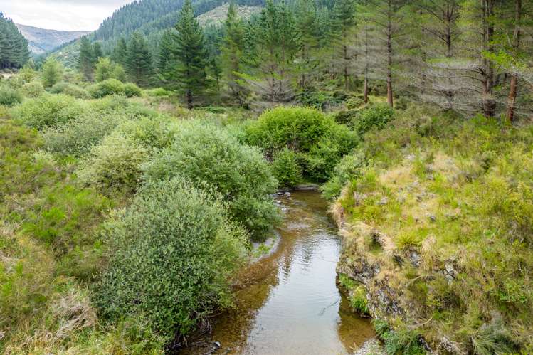 Te Moana Road Geraldine_6