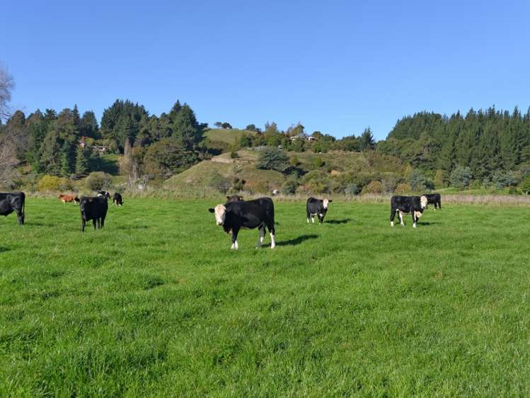 493 Motueka River West Bank Road Motueka_18