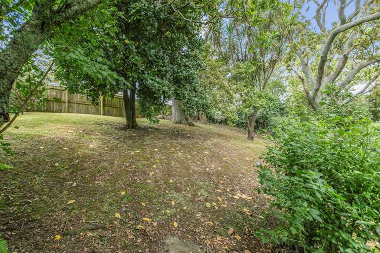 46 Vincent Street Howick_7