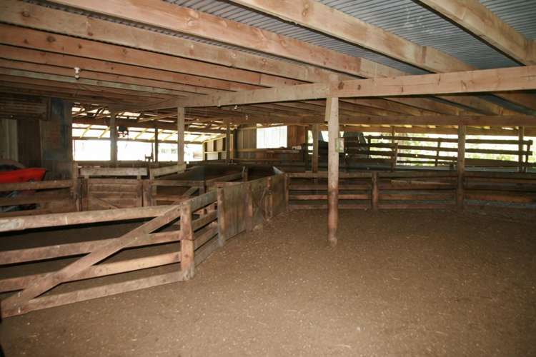 1099 Mataro Road Urenui_17