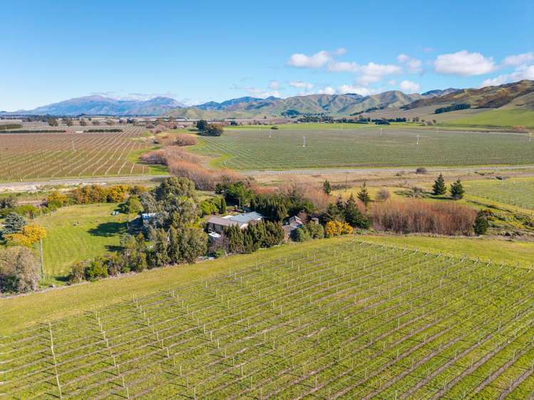 1960 Redwood Pass Road Seddon_37