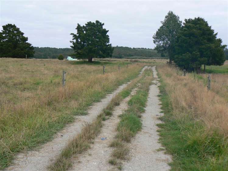 State Highway 12 Kaikohe_5