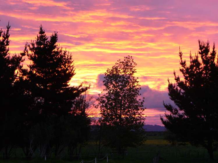 3483 Kaipara Coast Highway Glorit_24