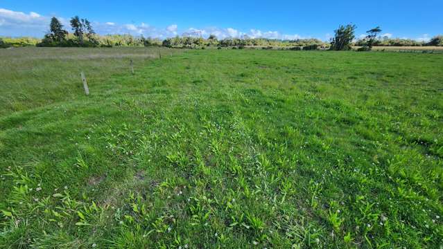 455 Surrey Road Tariki_1